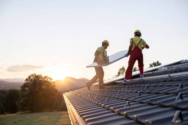 Best Solar Panel Roofing Installation  in West Columbia, TX