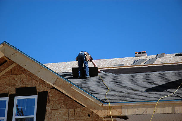 Best 4 Ply Roofing  in West Columbia, TX