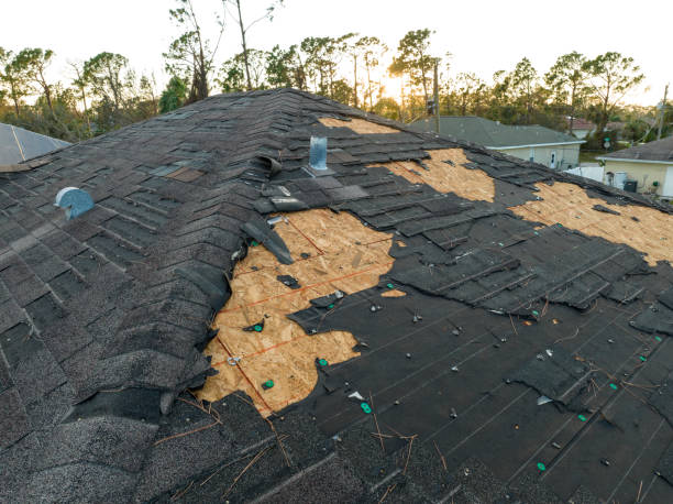 Best Metal Roofing Installation  in West Columbia, TX