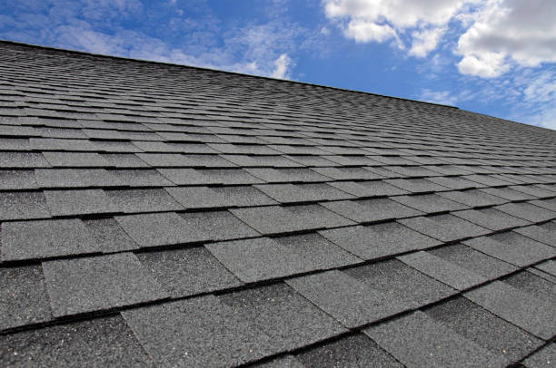 Best Gutter Installation and Repair  in West Columbia, TX